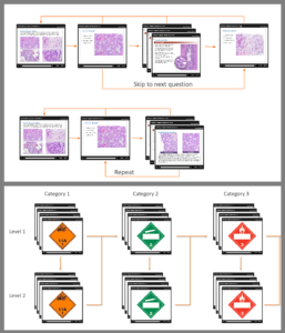 Provide Personalized (Adaptive) Learning Graph